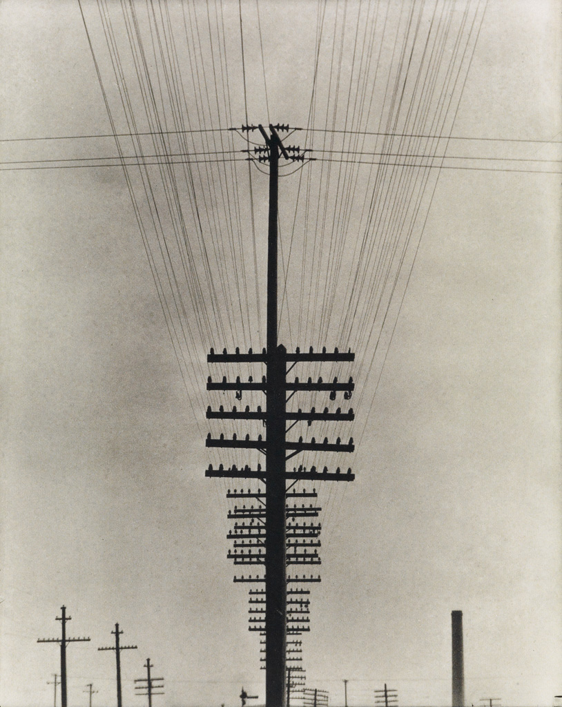 (TINA MODOTTI) (1896-1942)/AVA VARGAS (1953- ) Telegraph Wires.
